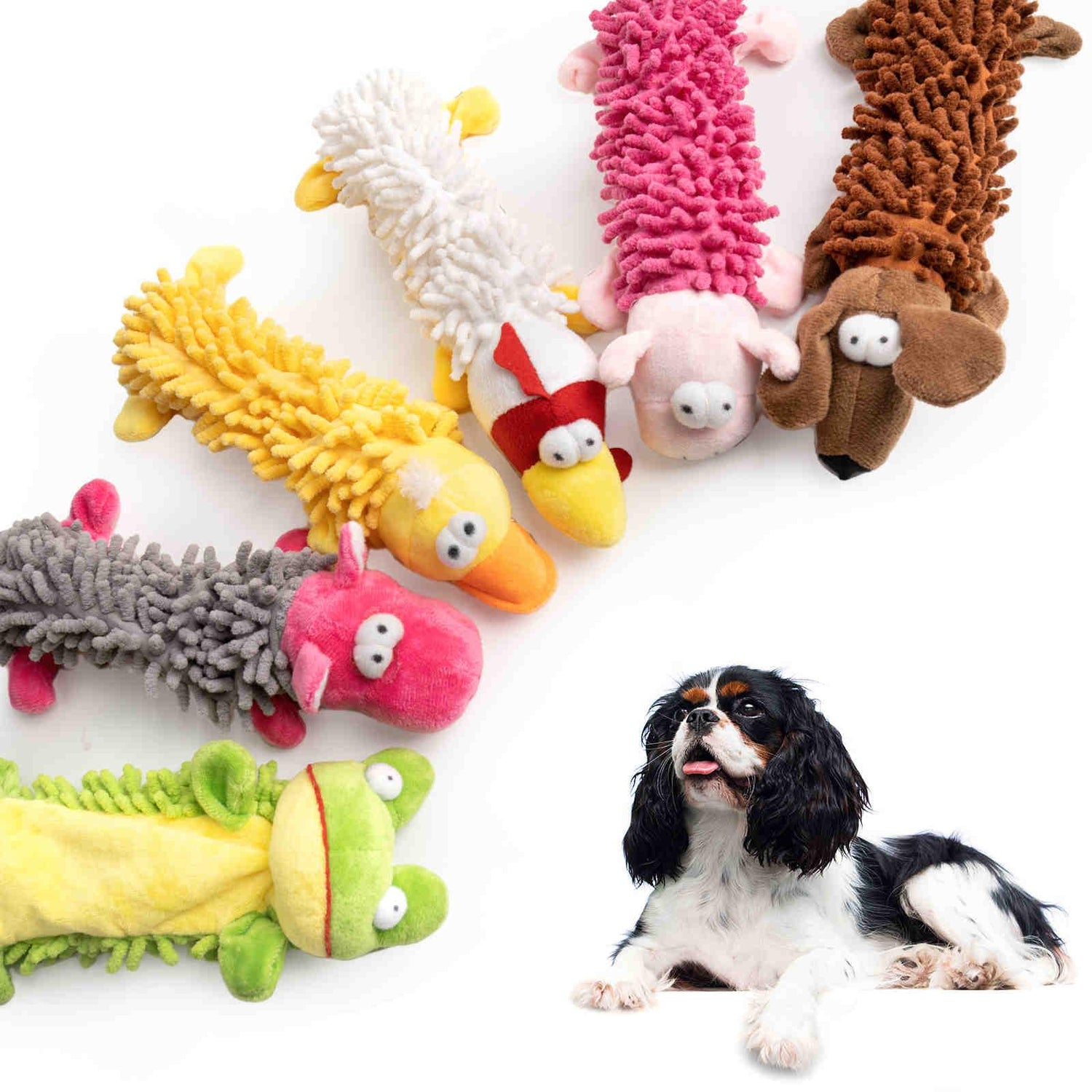 Squeaky Toys
